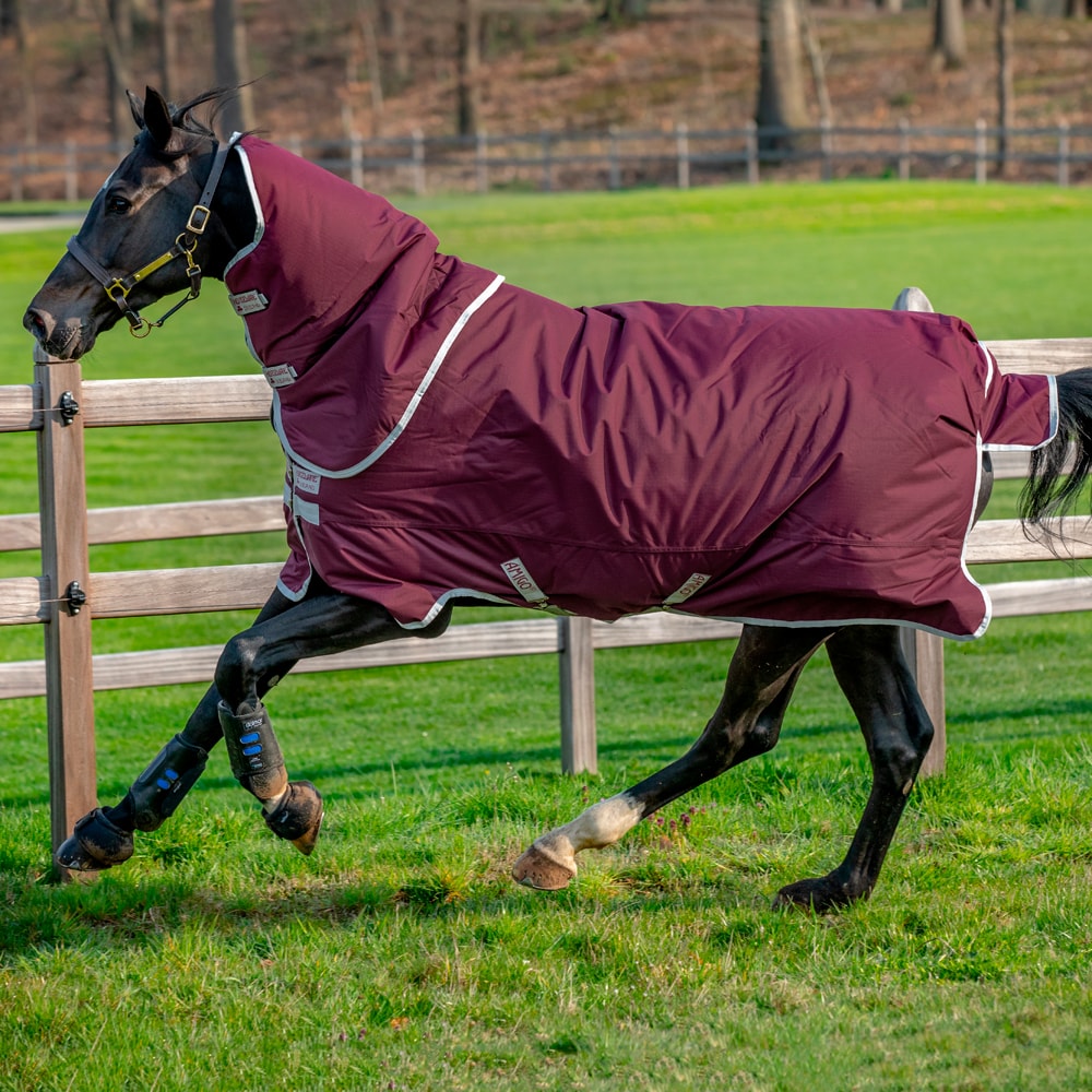 Utetäcke  Amigo Hero Ripstop Plus 200 Horseware®