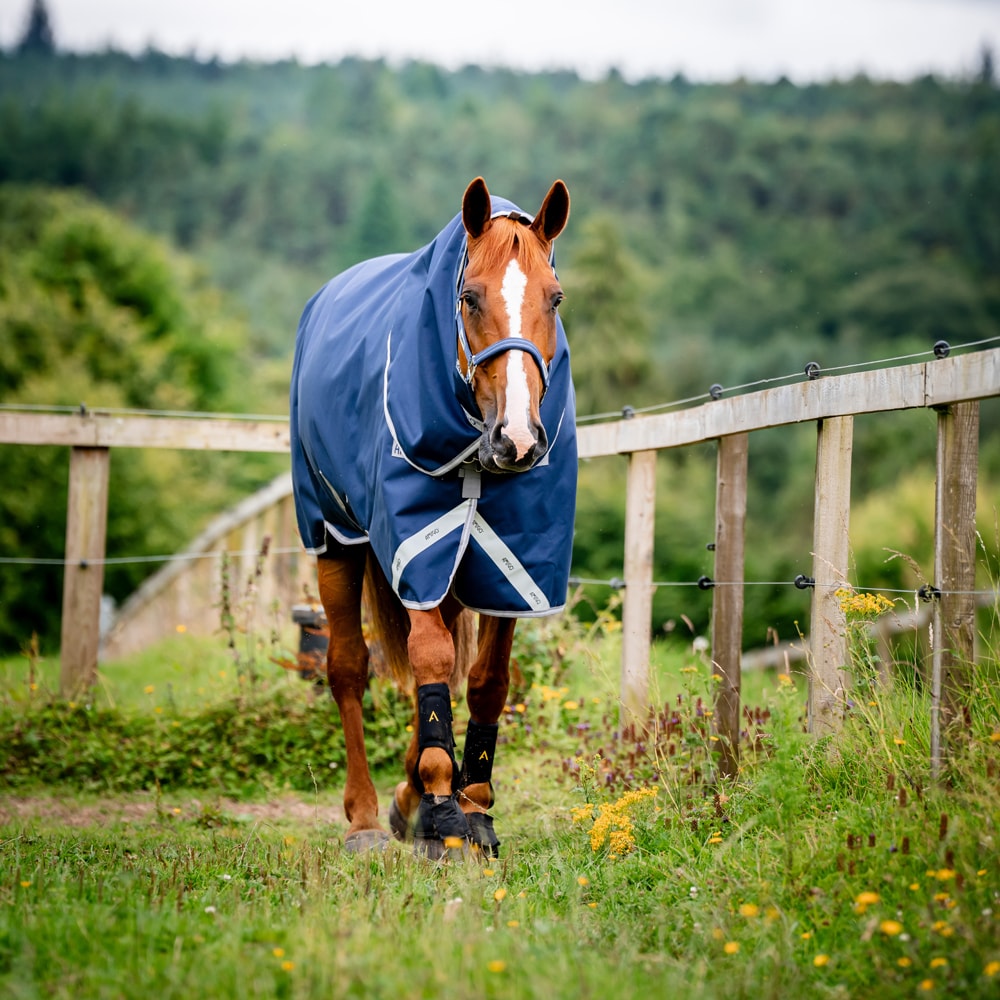 Regntäcke  Amigo Bravo 12 Plus Turnout Lite Horseware®