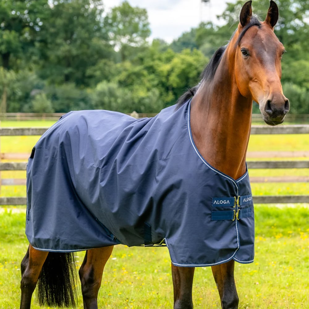 Regntäcke  Turnout 0g Aloga Equestrian