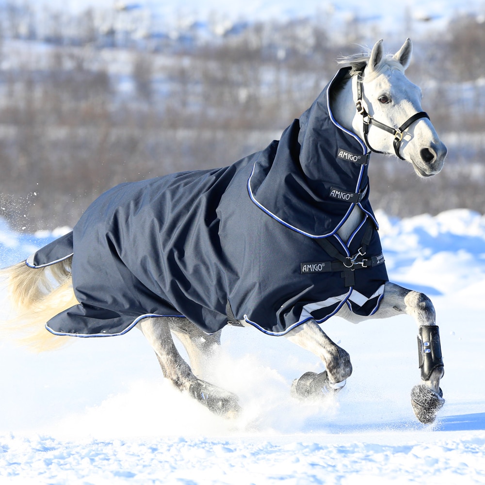 Vintertäcke  Amigo® Bravo Plus Heavy 400 Horseware®