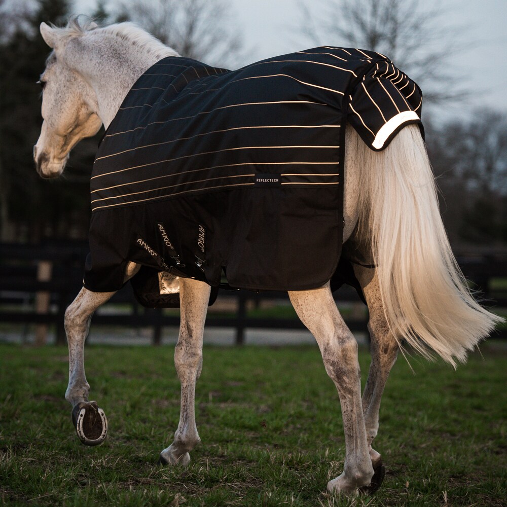 Vintertäcke  Amigo Bravo Reflectech Plus 250 Horseware®