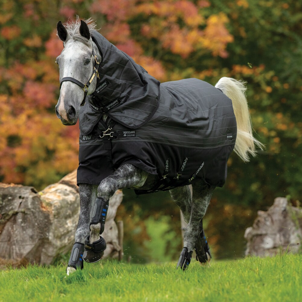 Vintertäcke  Amigo Bravo Reflectech Plus 250 Horseware®