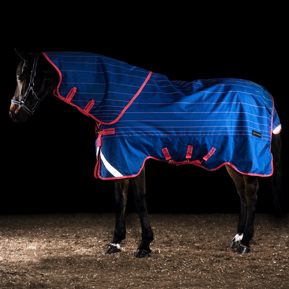 Vintertäcke  Amigo Bravo Reflectech Plus 250 Horseware®