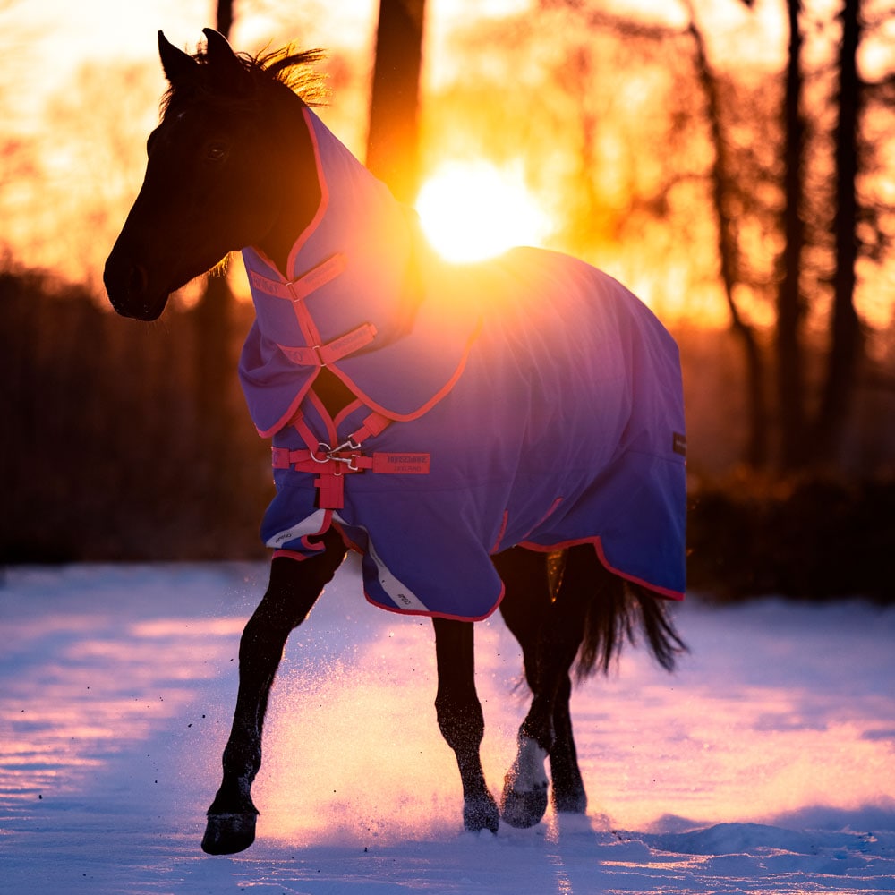 Vintertäcke  Amigo Bravo Reflectech Plus 250 Pony Horseware®