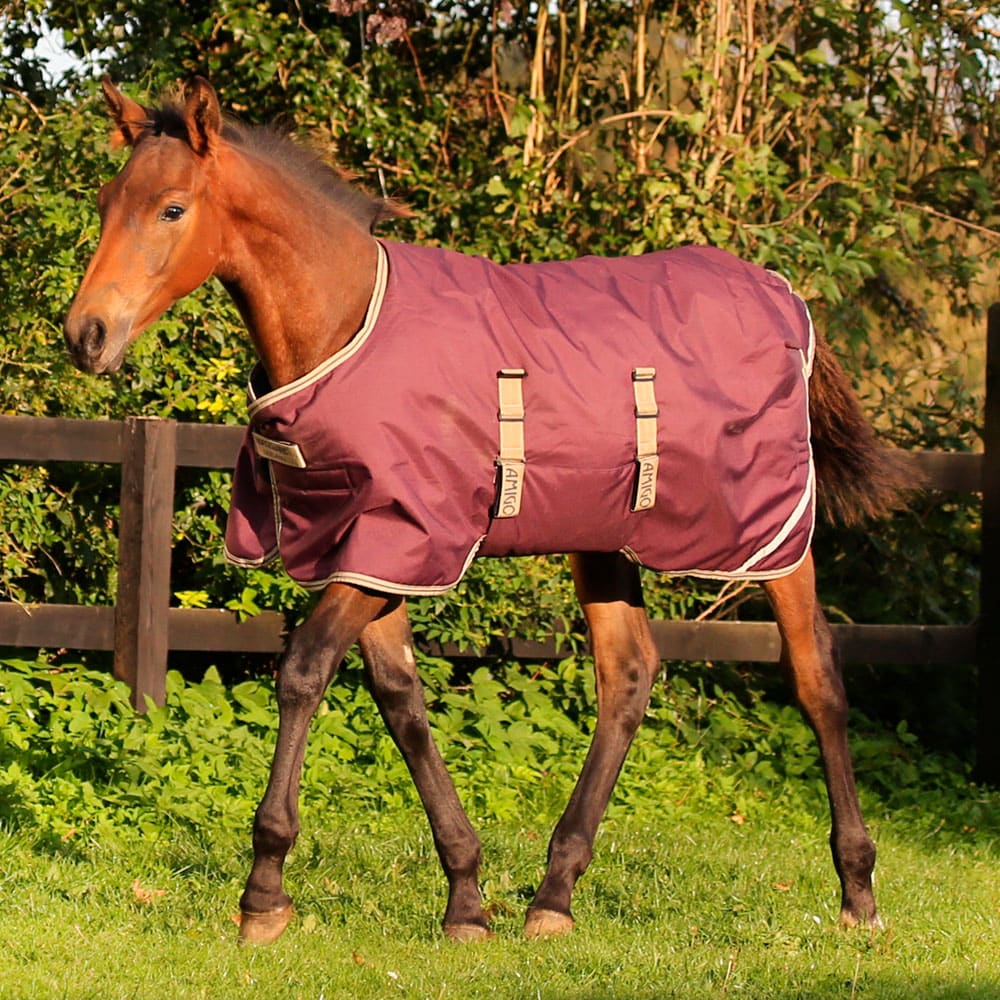 Föltäcke  Amigo Foal Rug Horseware®