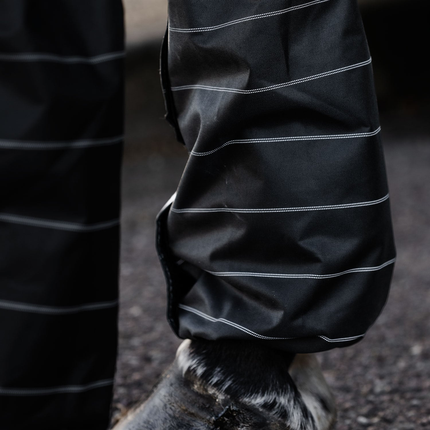 Gaiters  Gateway Fairfield®