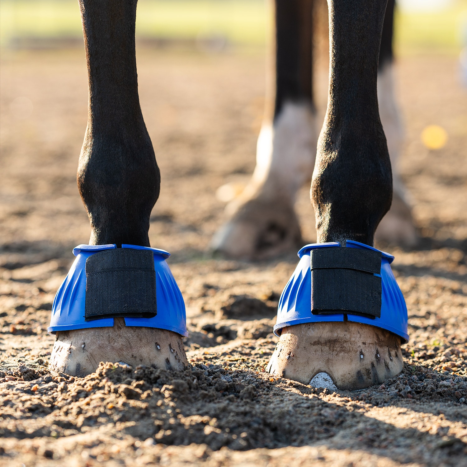 Boots  Basic Fairfield®