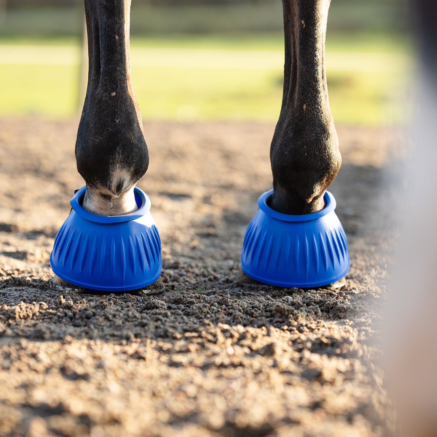 Boots Basic Fairfield®