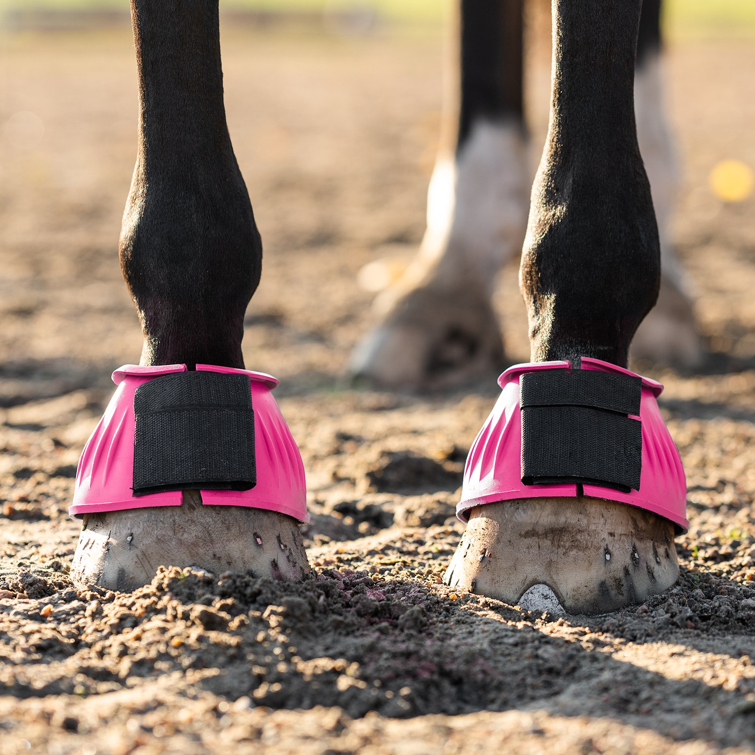 Boots  Basic Fairfield®