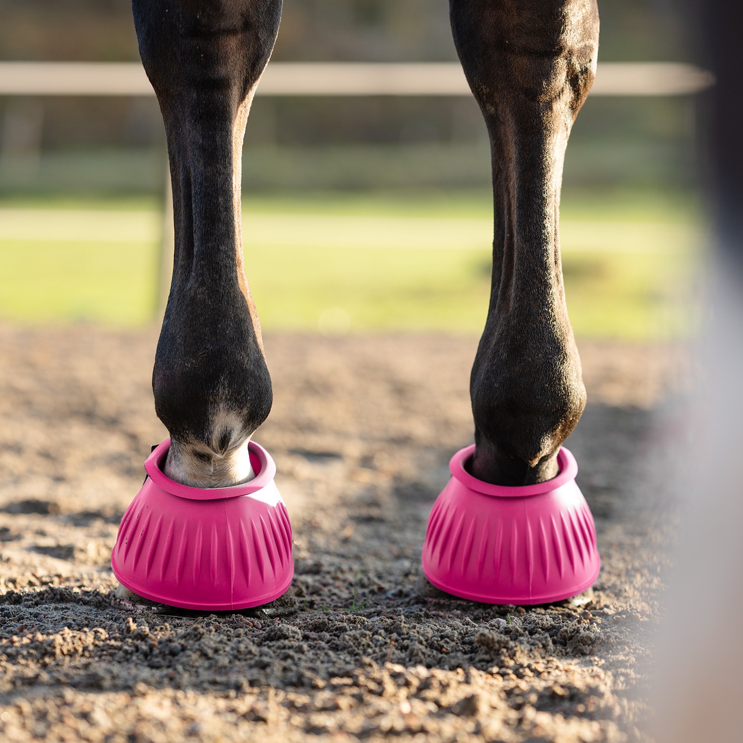 Boots Basic Fairfield®