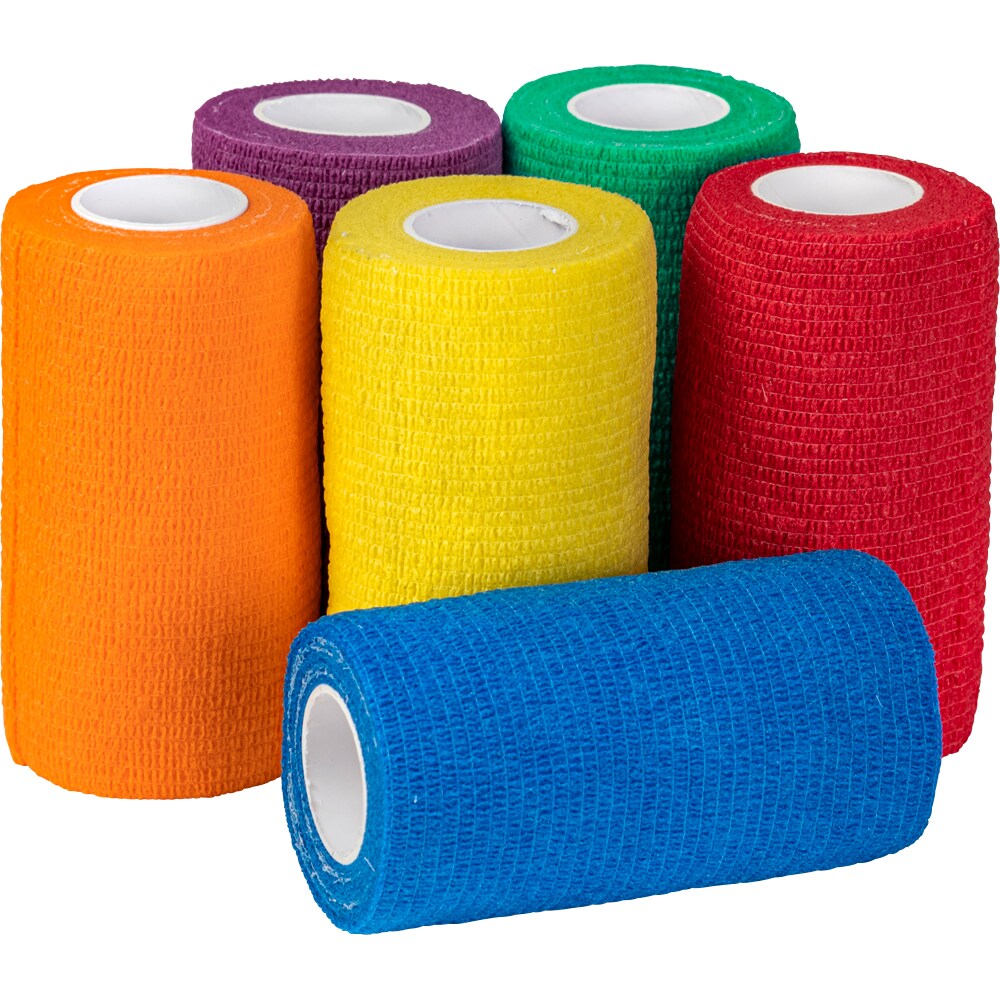 Flexlinda 6-pack Rainbow Fairfield®