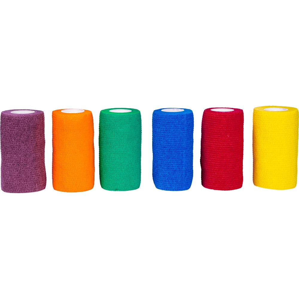 Flexlinda 6-pack Rainbow Fairfield®