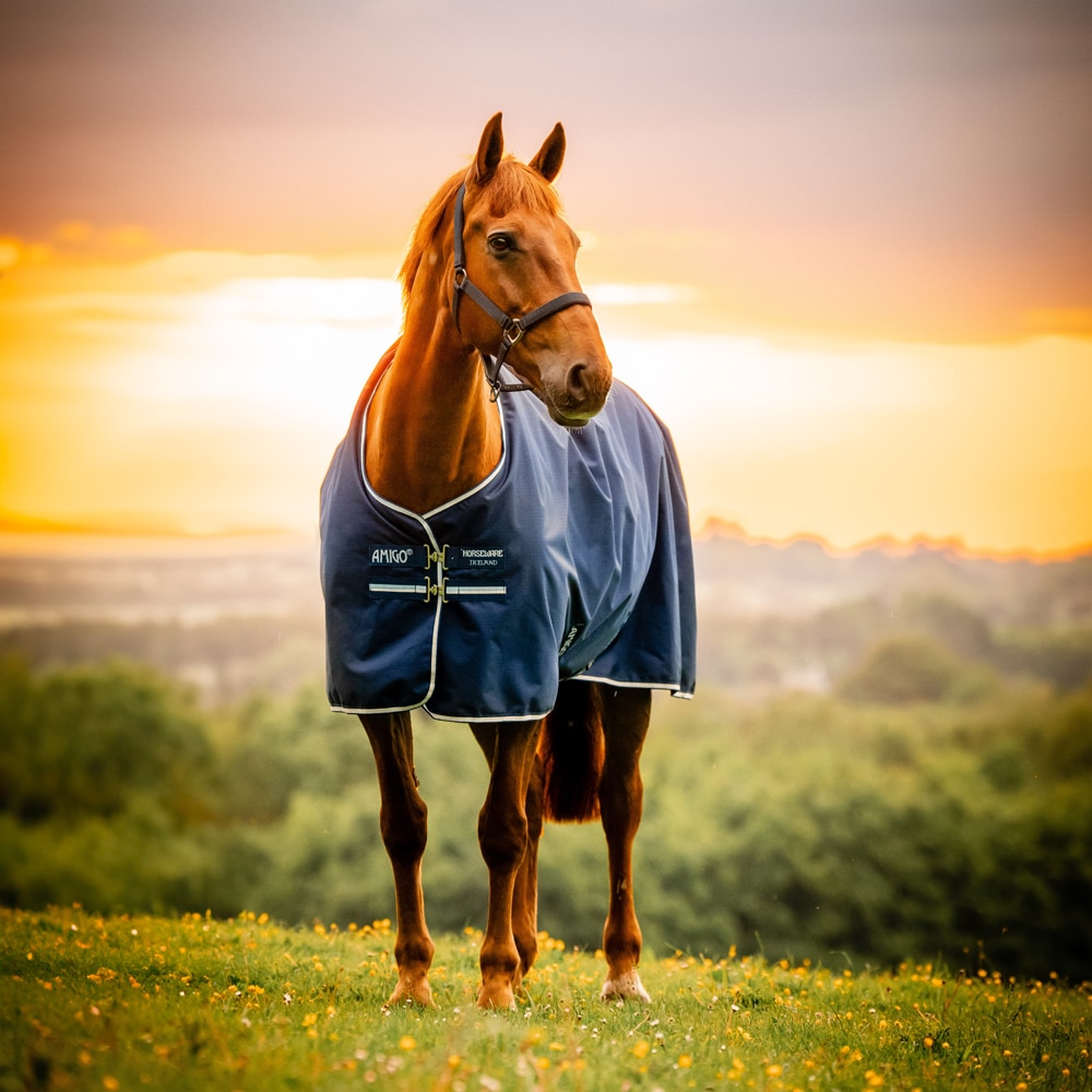 Regntäcke  Amigo Ripstop 900D Turnout 0g Horseware®