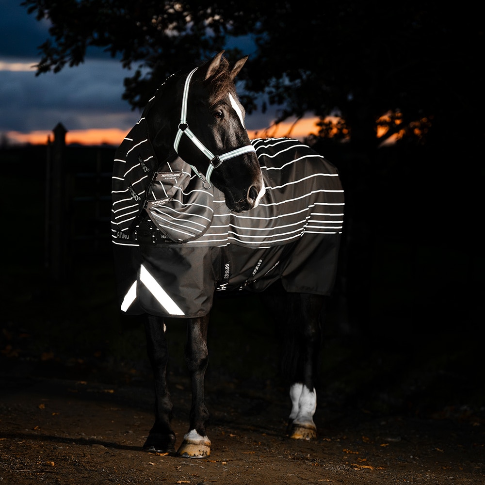 Utetäcke 100 g Amigo Bravo 12 Reflectech Plus Turnout Horseware®