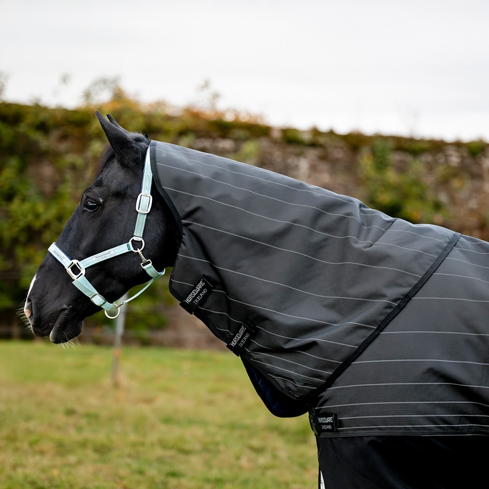 Utetäcke 100 g Amigo Bravo 12 Reflectech Plus Turnout Horseware®