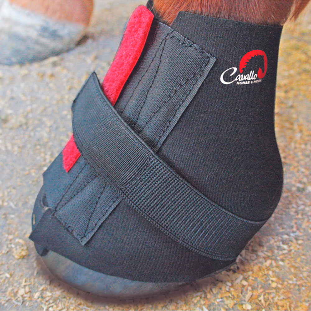 Pastern Wraps Cavallo - Hööks