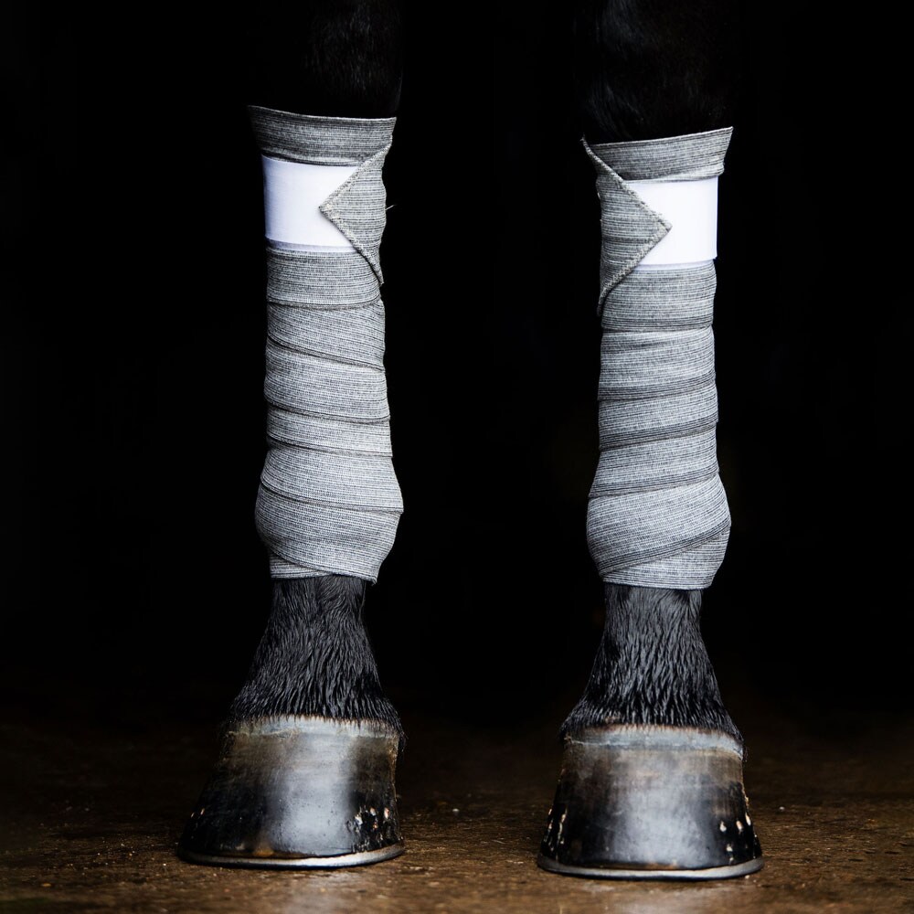 Bandage  Excercise Circulation Incrediwear Equine