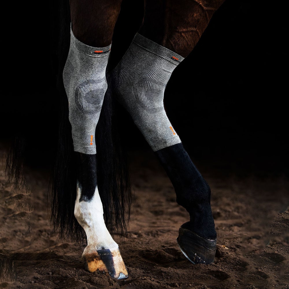 Linda  Circulation Hoof Sock Incrediwear Equine