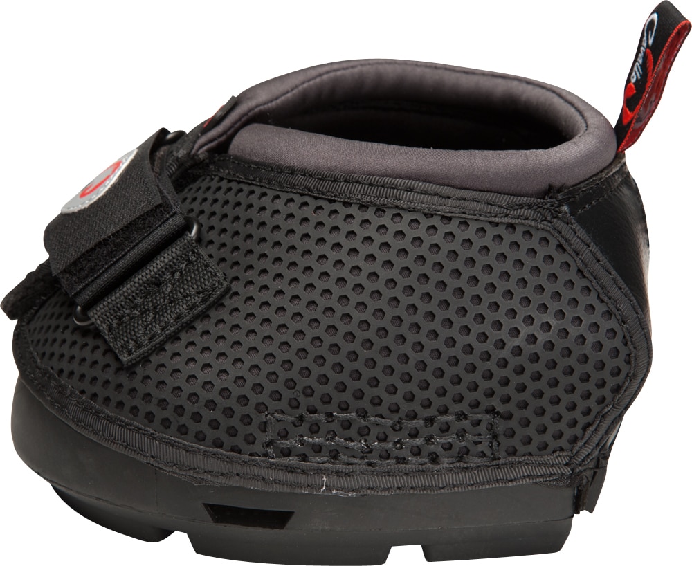  1 st Trek Regular Boot Cavallo