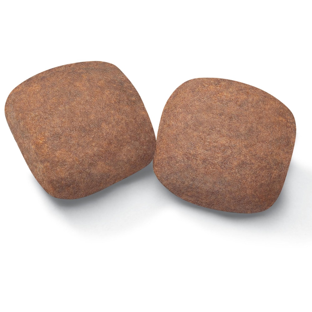 Torrfoder Hund Royal Canin Giant Adult 15 kg Royal Canin