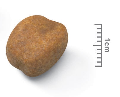 Torrfoder Hund Giant Puppy 15 kg Royal Canin