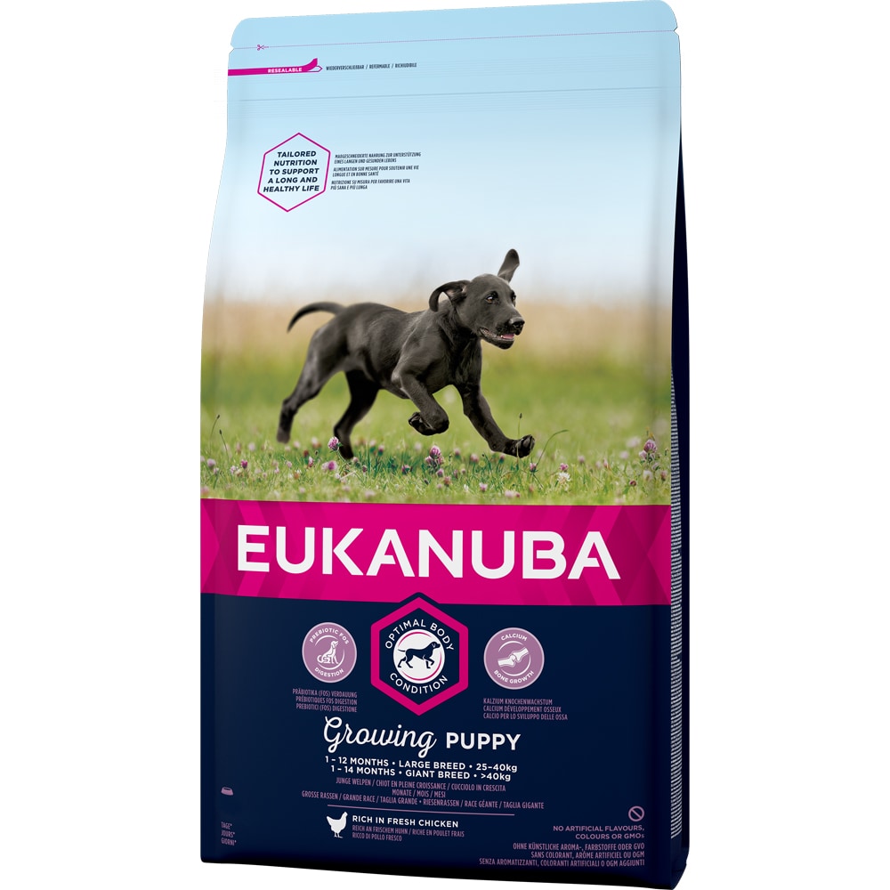 Torrfoder Hund  Puppy Large Breed 15 kg Eukanuba