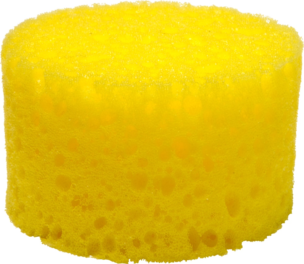 Putssvamp   Hööks