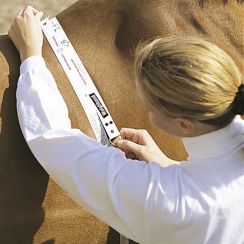   Weightband 