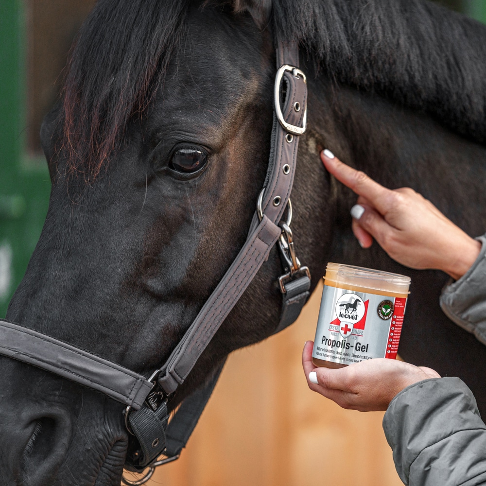 Sårsalva  FIRST AID Propolis Gel leovet®