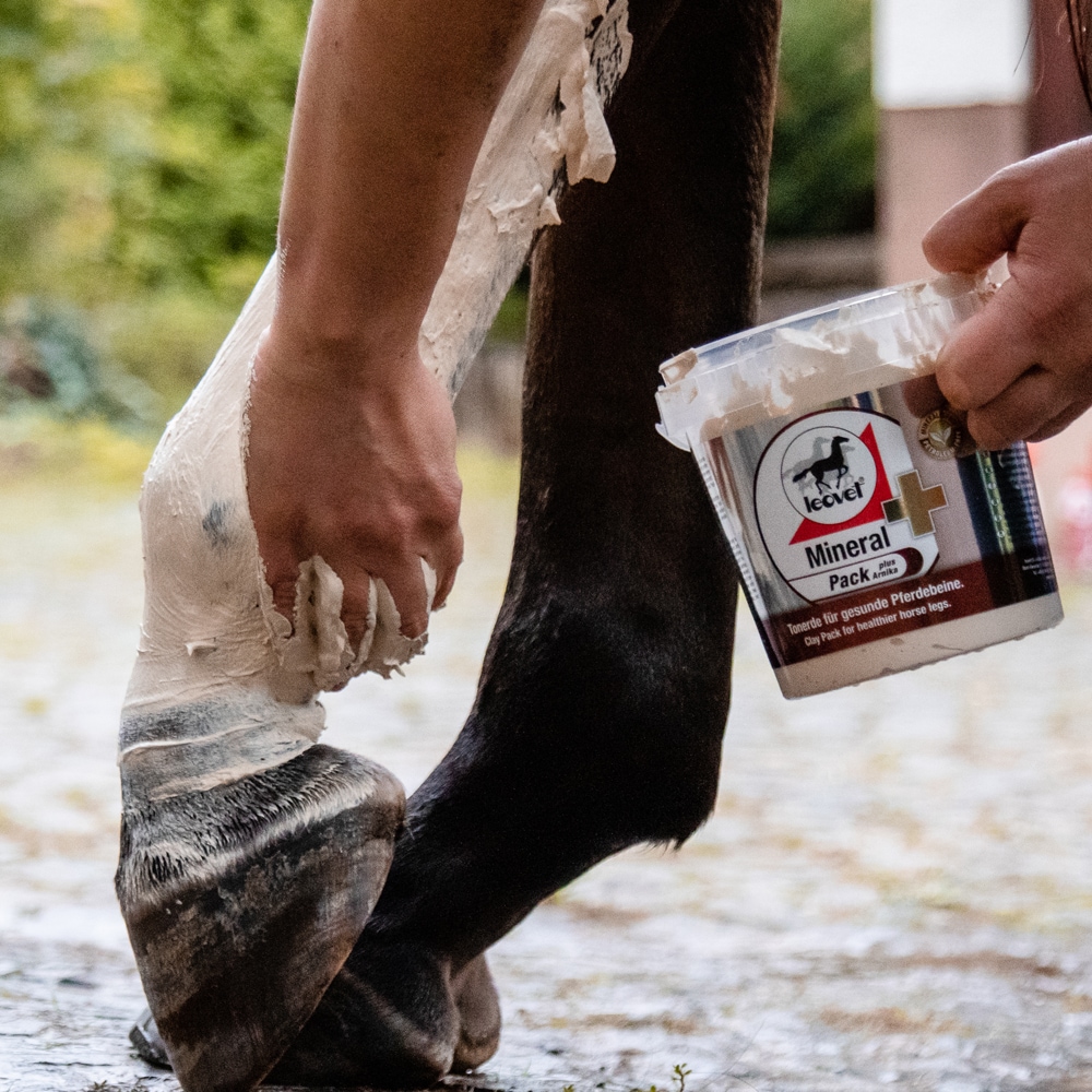   MINERALPACK plus Arnica leovet®
