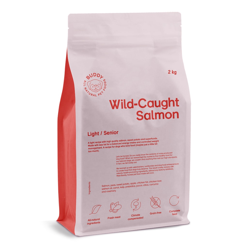 Hundfoder 2 kg Wild-Caught Salmon BUDDY