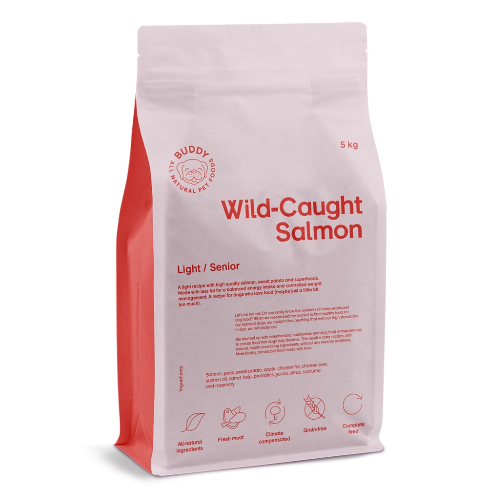 Hundfoder 5 kg Wild-Caught Salmon BUDDY