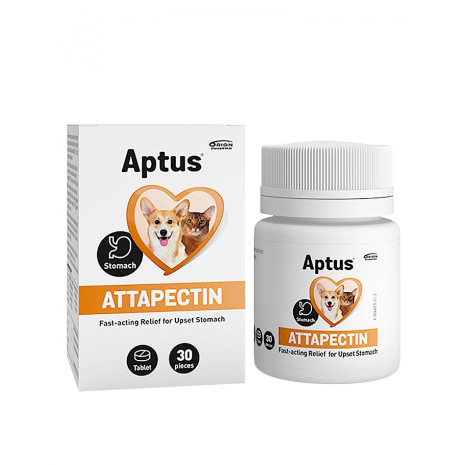 Kompletteringsfoder  Attapecitin Aptus