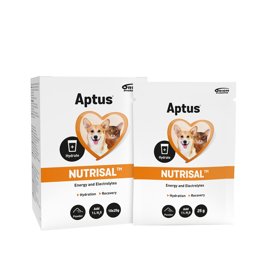 Kompletteringsfoder  Nutrisal 10 x 25 g Aptus