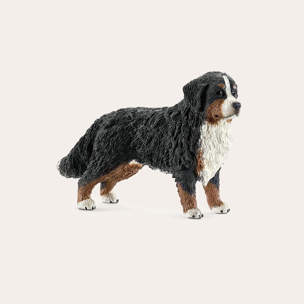 Leksak  Bernese mountain Dog Female Schleich