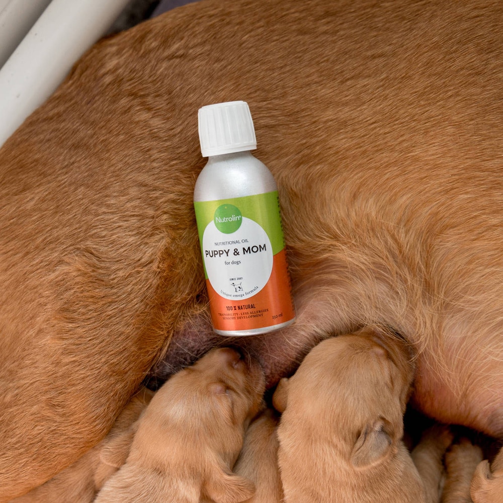 Kompletteringsfoder  Nutrolin Puppy & Mom Nutrolin