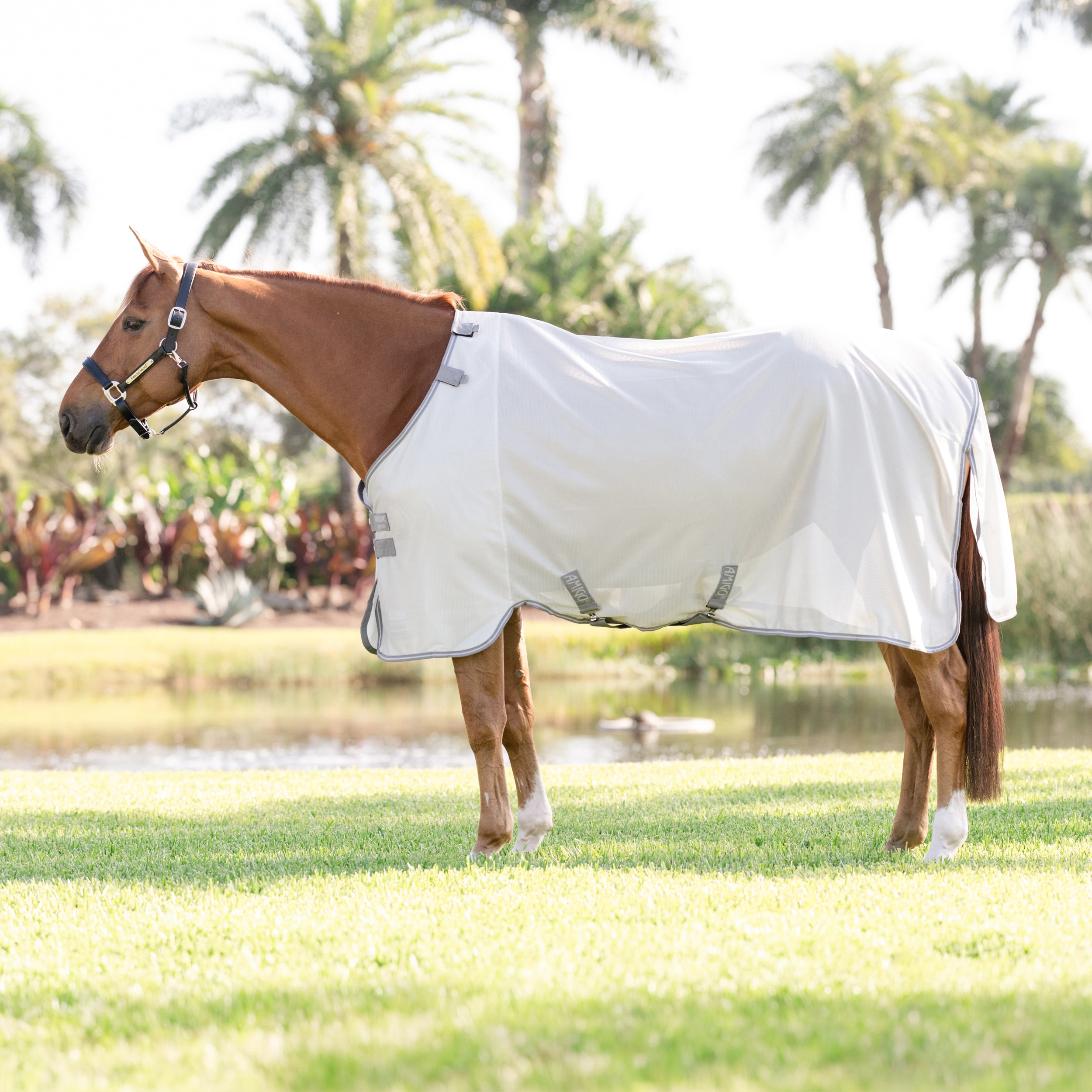 Flugtäcke Amigo Bug Rug Horseware®