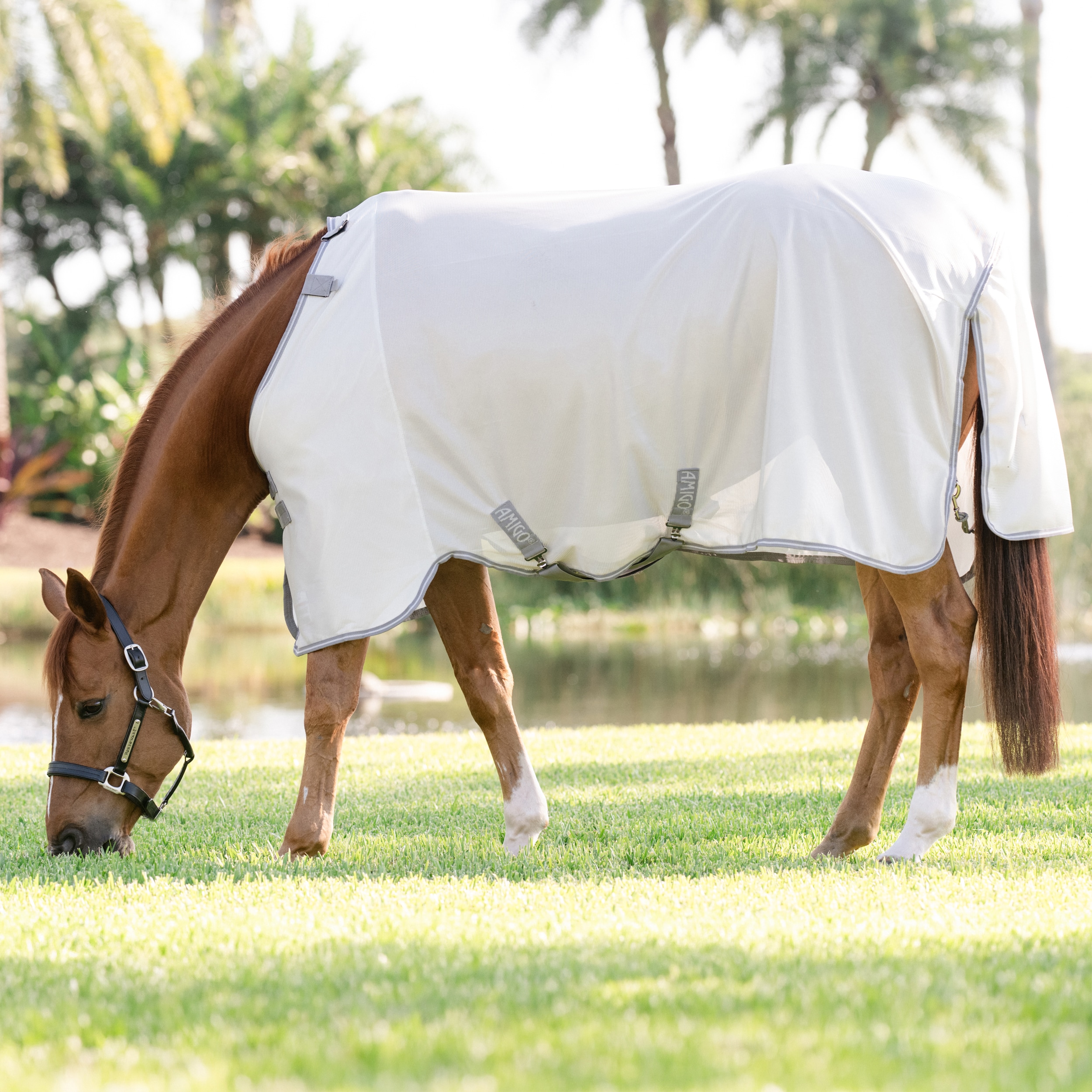 Flugtäcke Amigo Bug Rug Horseware®