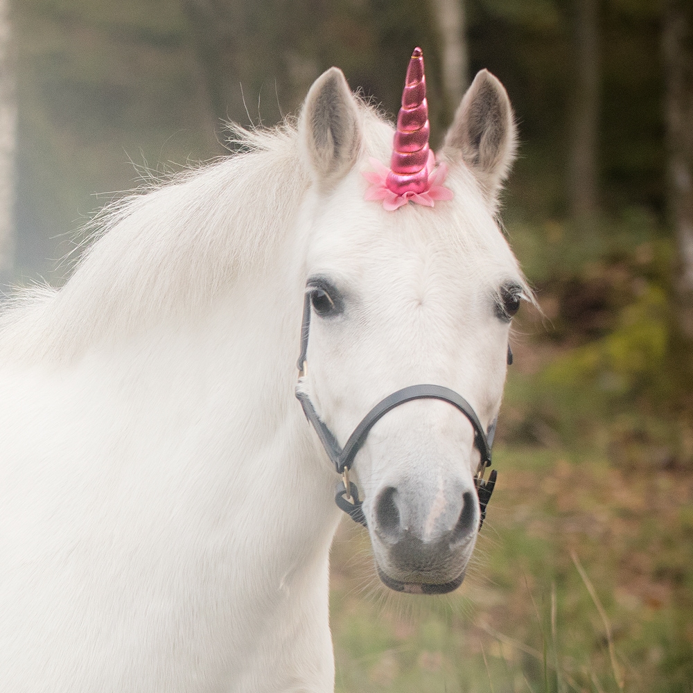 Spänne  Unicorn 