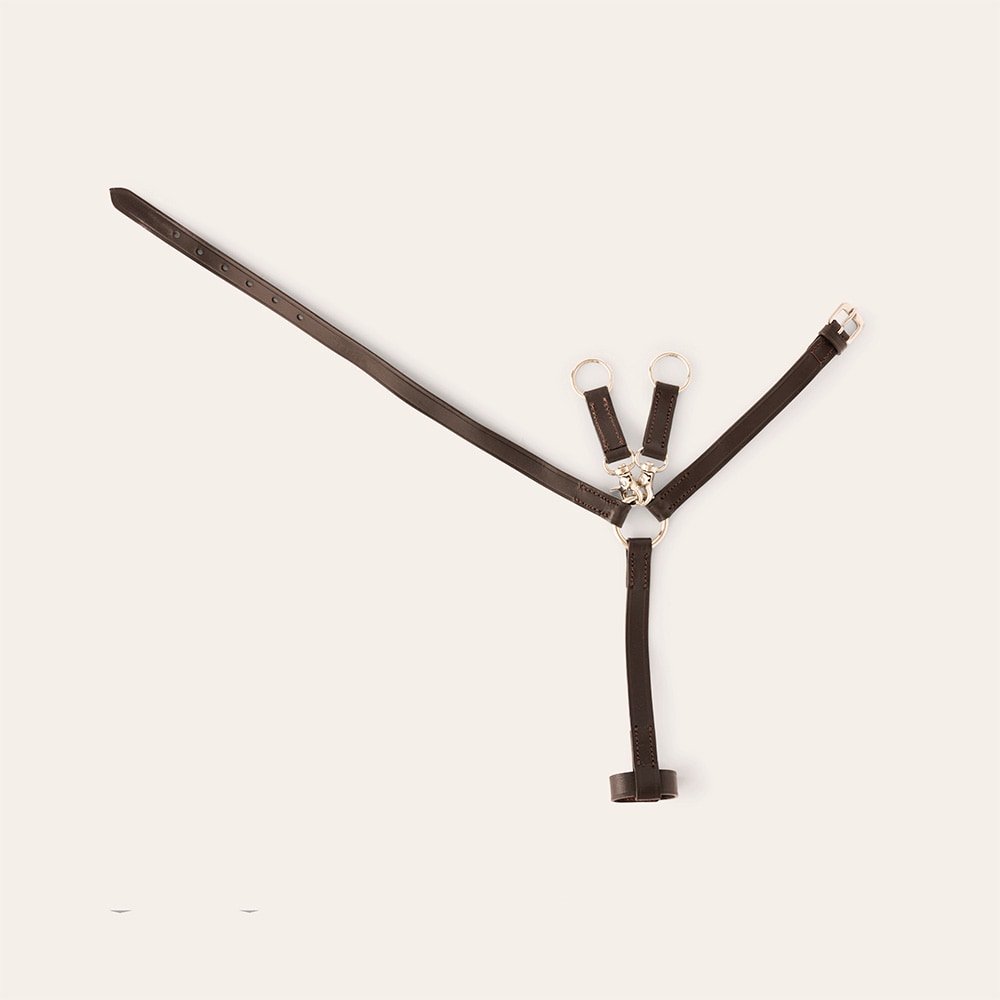  Käpphäst Clifden Mini Martingale Hööks