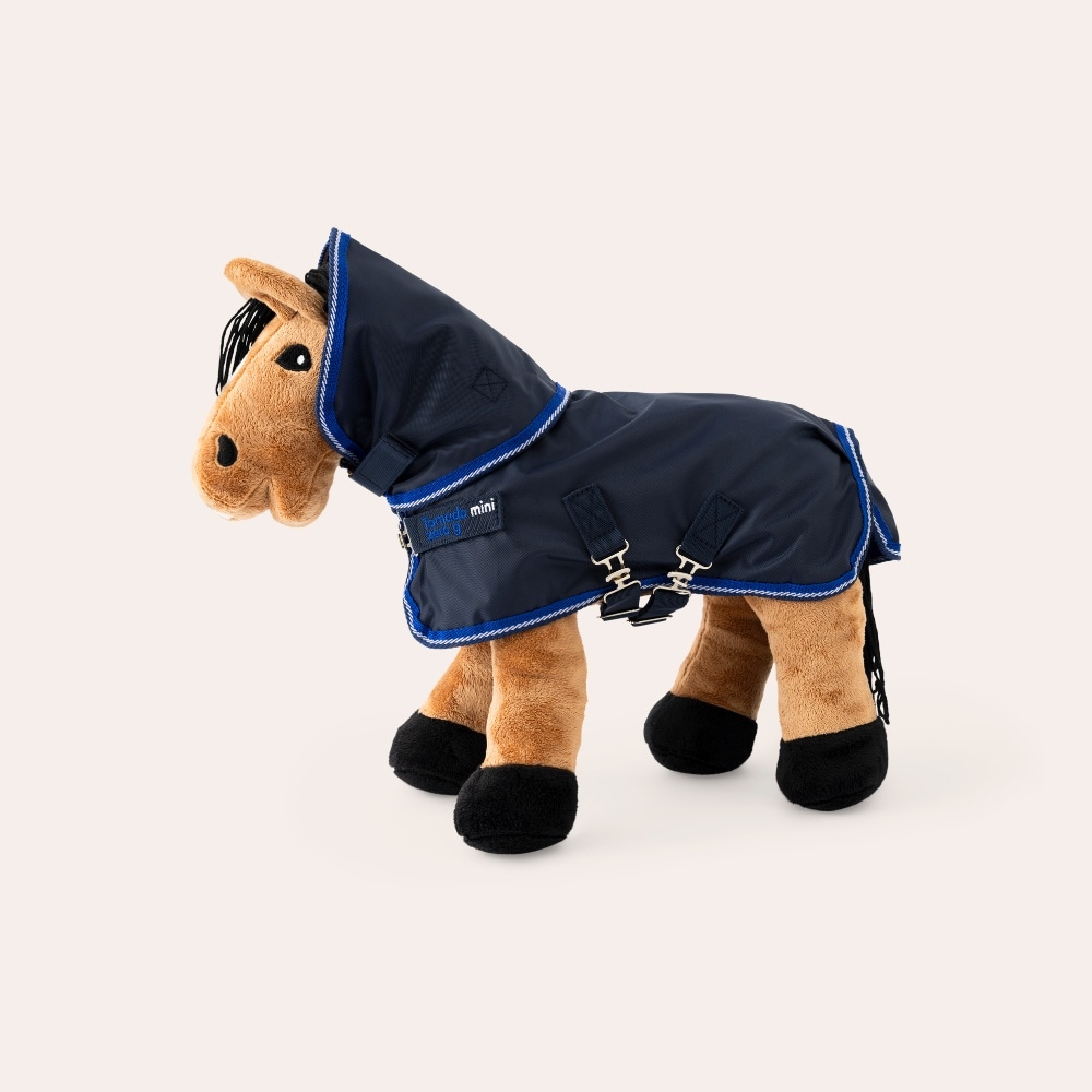 Regntäcke Tornado Mini Outdoor Hööks