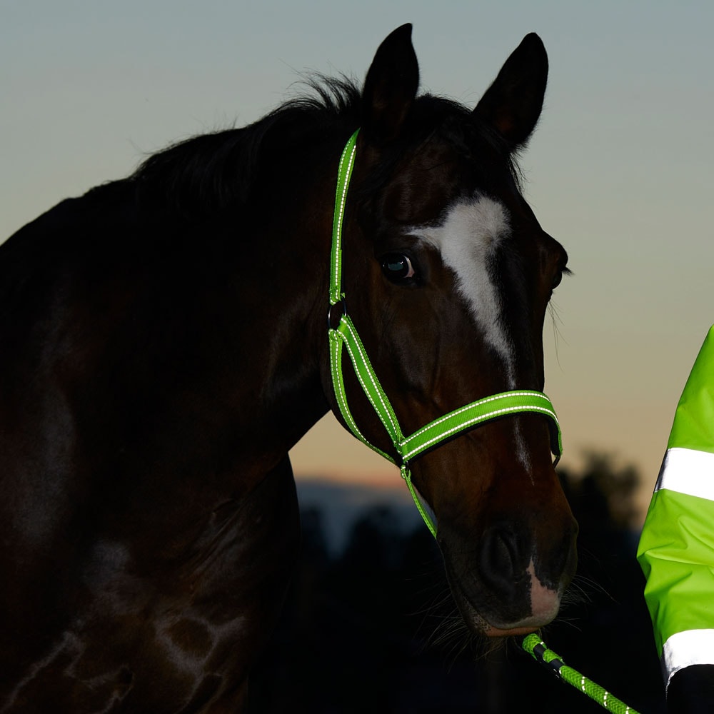 Reflexgrimma  Hi-Viz Fairfield®