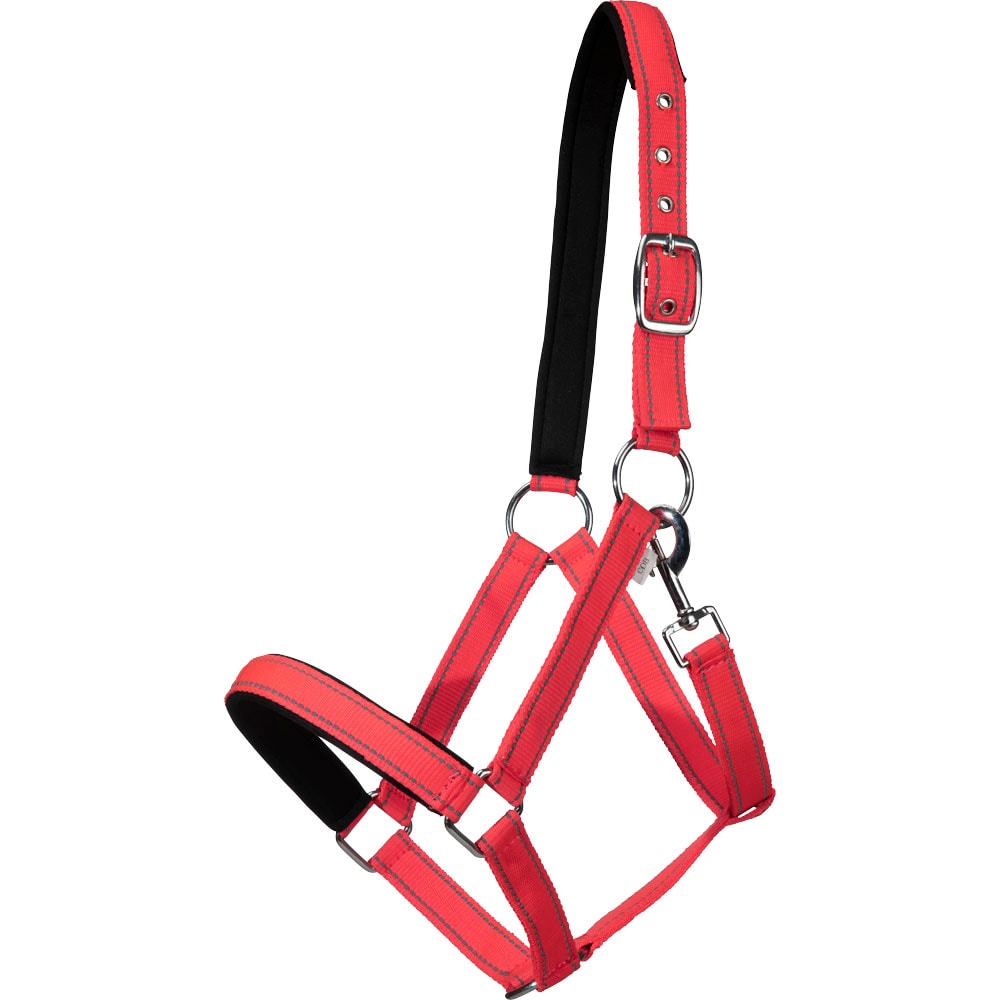 Reflexgrimma  Hi-Viz Fairfield®