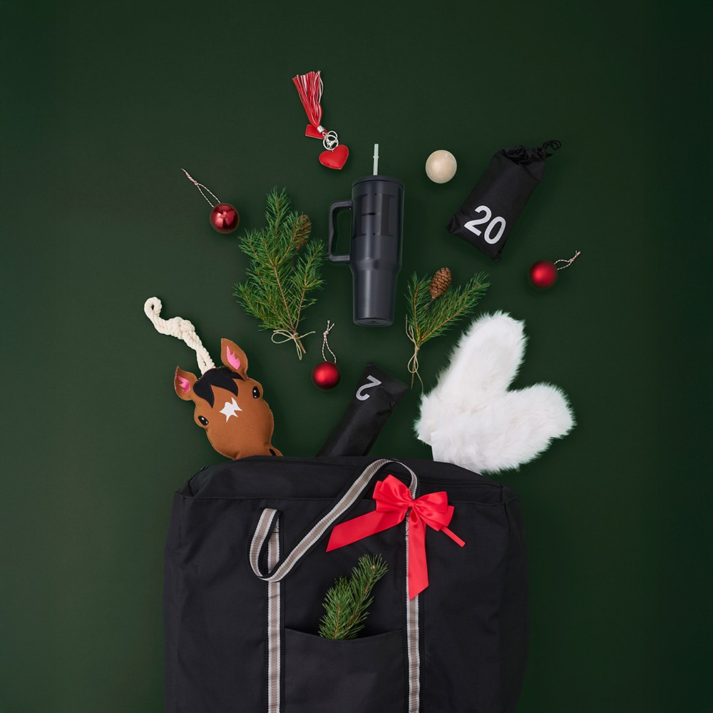 Julkalender  Christmas Hööks