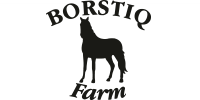 Borstiq
